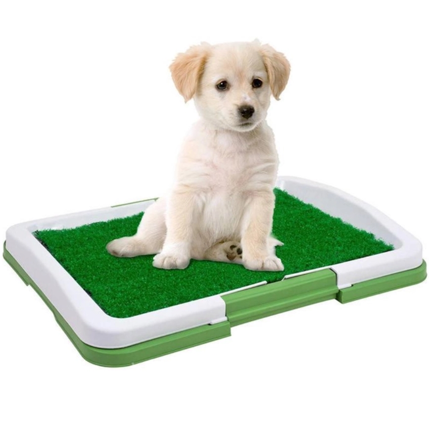  Puppy Potty Pad Туалет для собак MG-370 (12)N32(10457) 10457